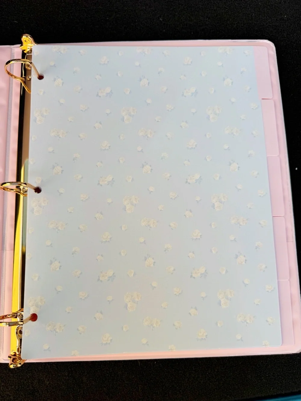 LoveShackFancy Binder and Dividers Tabs 8 Pk